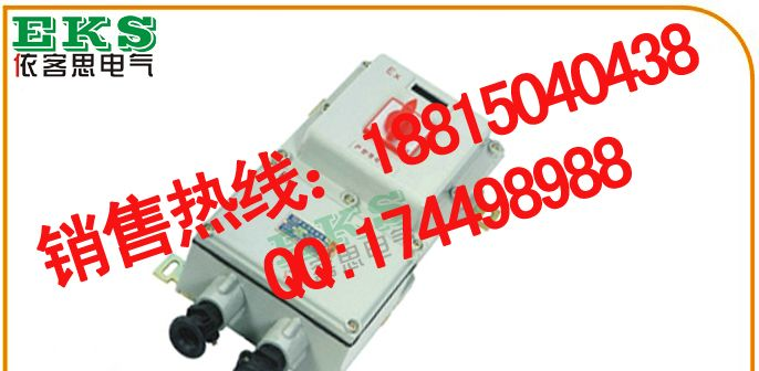 BLK52L-63/3防爆漏电开关， BLK52L-32/3防爆漏电断路器- BLK52L-100/3