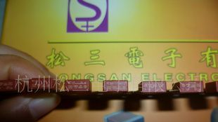 红色微型保险丝  方形保险丝 1A/250VAC