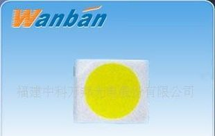 LED 5050白灯 SMD白光 三芯高亮