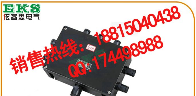 eJX52防爆接线箱，EKS防爆防腐端子箱，工程塑料接线箱，接线端子箱，