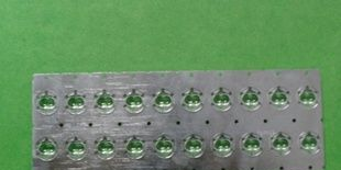 LED模条 14.0间距花生米型大功率