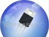 优势热销可控硅NXP/仙童原装BUT11A    TO-220