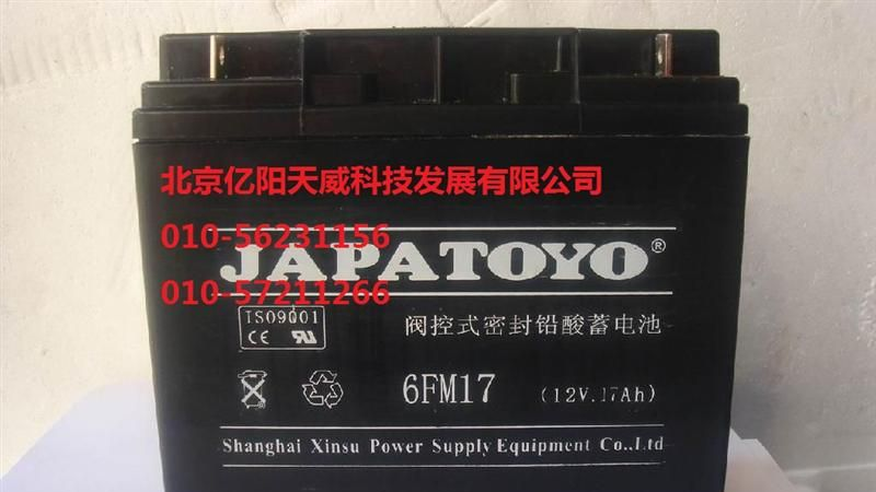 供应日本东洋蓄电池-TOYO蓄电池6GFM100报价