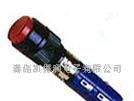 DS720/DS721带灯按钮开关(图)