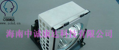 供应VTRON uhp100/120w1.0飞利浦大屏幕灯泡
