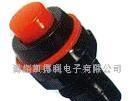 DS212带锁/DS213无锁按钮开关(图)