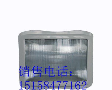 供应GT301-G 防水防尘防震防眩灯