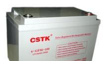 供应STK蓄电池型号：STK12V24AH蓄电池报价，山特电池直销