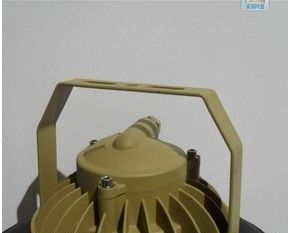 供应【LED防爆投光灯，LED防爆投光灯厂家】