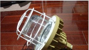 供应【LED防爆灯，LED防爆灯具】