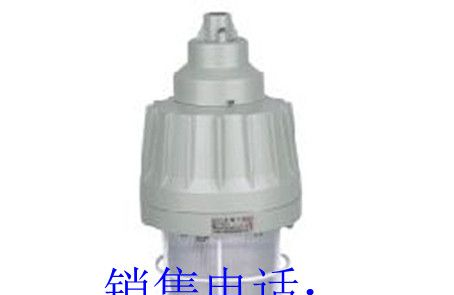 供应GCD5011隔爆型防爆灯 GCD5011-L70 GCD5011-L100 GCD5011-L150