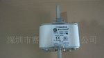 BUSSMANN熔断器170M8550