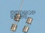 5*20保险管|5.2*20mm快速慢速熔断(图)