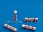 英规BS插头专用保险丝(图)