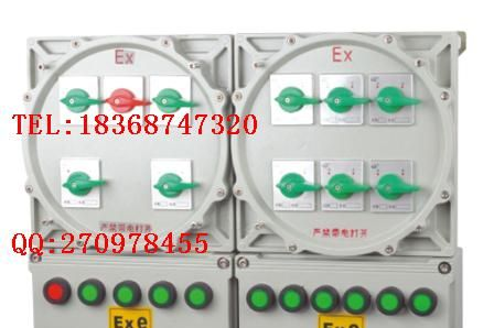 供应【BXD51-D系列防爆动力配电箱（动力检修）】