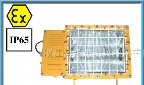 BFC8110 BFC8110防爆泛光灯