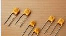 自恢复保险丝 250V 0.6A 插件料