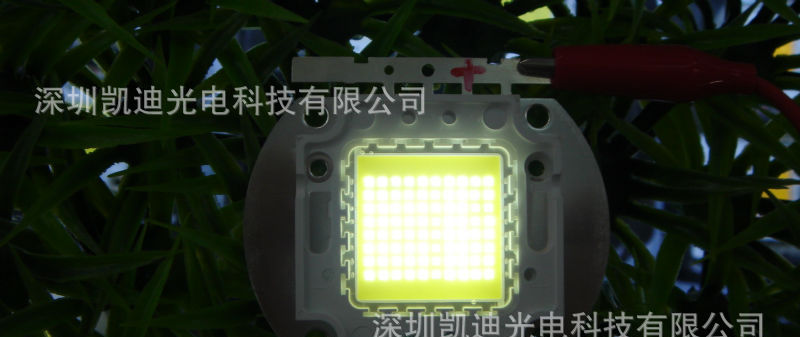 LED大功率 80w集成灯珠 台湾晶元芯片 封装厂家 保证