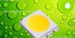 【厂家定制】供应各种 SMD5050 白光  贴片LED 价格优惠！