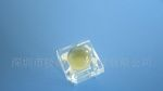 LED5MM食人鱼白光6-7LM发光二极管
