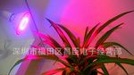 新款特卖LED灯具LED植物生长灯6WE27655-660NM