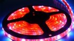 厂家大量生产5050LED滴胶防水软灯条 60灯/米LED软灯条