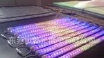 LED护栏管06-D80系列数码管  厂家供应