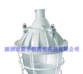 江苏省BAD51隔爆型防爆灯厂家直销，山东省BAD51隔爆型防爆灯厂家直销。
