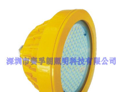 供应BPC8720-L防爆平台灯，吉林省厂家直销BPC8720-L防爆平台灯。