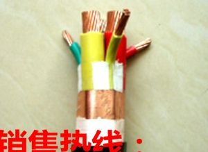 BPVVP3电缆 BPYJVP2电缆 BPGGP2电缆-变频器专用电缆