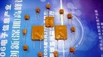 宝电通代理商RDL30V185自恢复保险丝