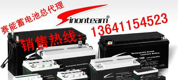 供应赛能蓄电池-型号齐全-欢迎莅临