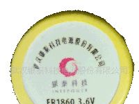 供应武汉银泰科技TPMS专用锂亚电池