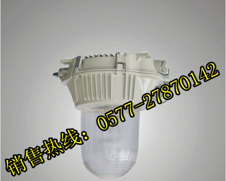 GC101-L100≯GC101-L100≯GC101-L100≯防水防尘防震防眩灯