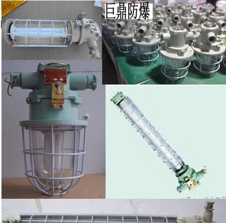供应DGS13/127Y荧光灯，13W防爆荧光灯，13W圆形荧光灯