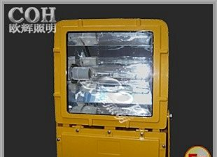 供应NFE370防爆投光灯