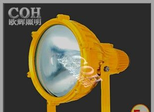 供应NFE350 防爆投光灯 250W防爆投光灯
