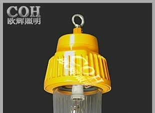 供应NFE180防爆平台灯