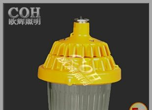 供应NFE160 防爆平台灯