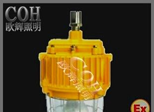 厂家直销NFE013 防爆泛光灯