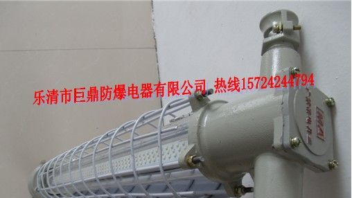 供应DGS20/127L(A)LED防爆灯