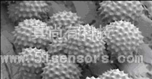 供应ZLDS100位移传感器 支持特殊量程测量