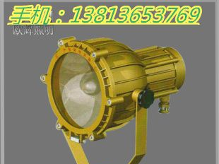 供应SBD3110 防爆泛光灯