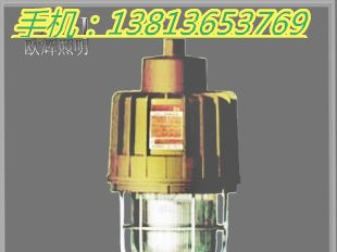 供应SBD3107隔爆型防爆应急灯