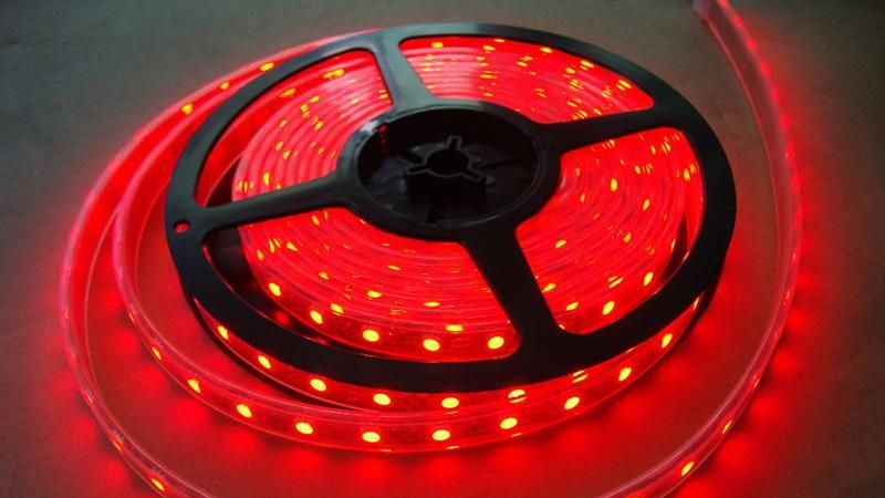 厂家直销3528LED灯带  高亮度5050贴片 亮化装饰工程  LED 灯带