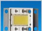 深圳大功率 美国普瑞20W集成白光LED