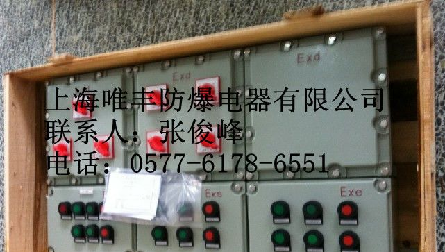 供应12回路ˇBXM51-12K防爆照明配电箱定做