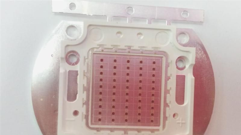 供应；50WLED白、暖白大功率灯条