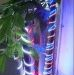 供应发光二级管LED灯条系列 LED软灯条价格  性比价超高