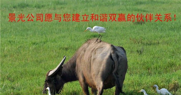 供应高频电子管高频热合机管FU-834FA